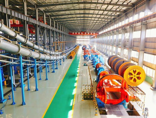 冠軍實力鑄就國家級榮譽 梅州軟件開發(fā)產(chǎn)業(yè)的崛起與展望